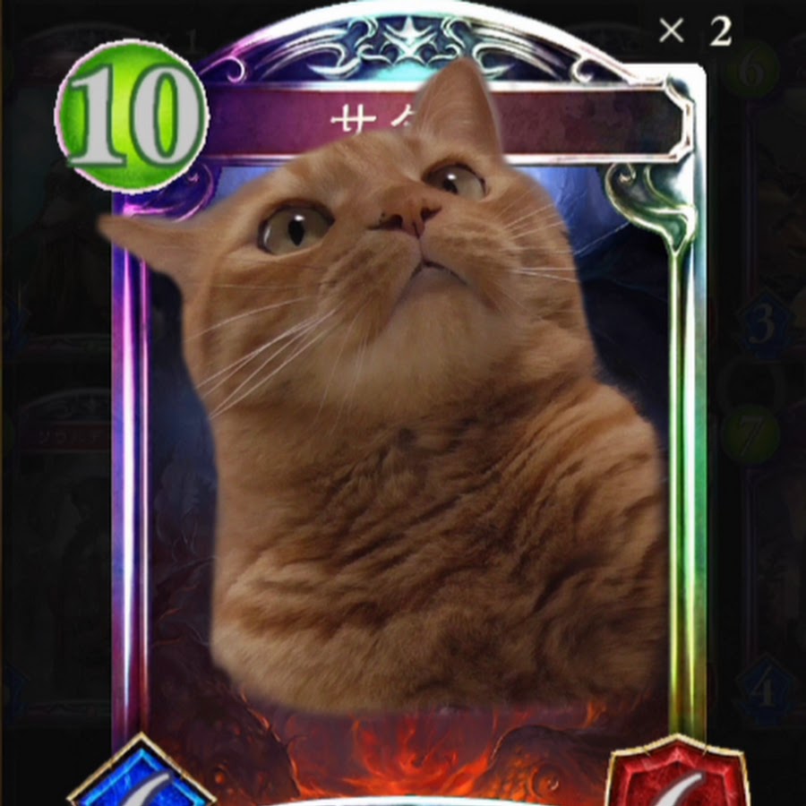 あぽろさんのプロフィール画像